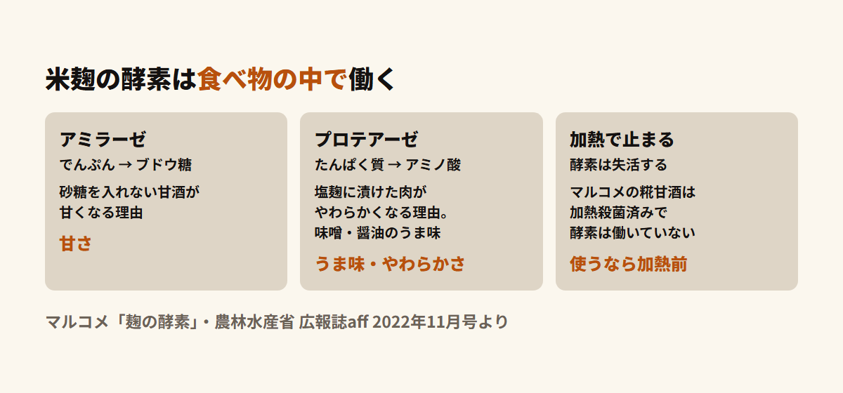 米麹の酵素のはたらきを示した図。アミラーゼがでんぷんをブドウ糖に分解して甘酒の甘さになり、プロテアーゼがたんぱく質をアミノ酸に分解してうま味と肉のやわらかさになる。ただし酵素は加熱で失活し、市販の甘酒では働いていない